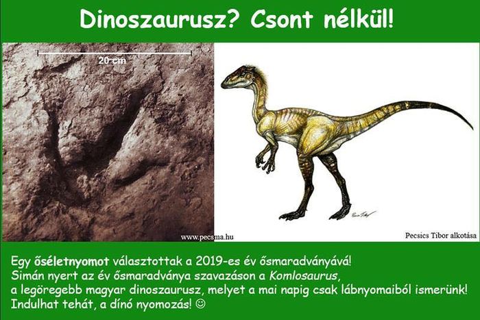 Komlosaurus lábnyoma vagott
