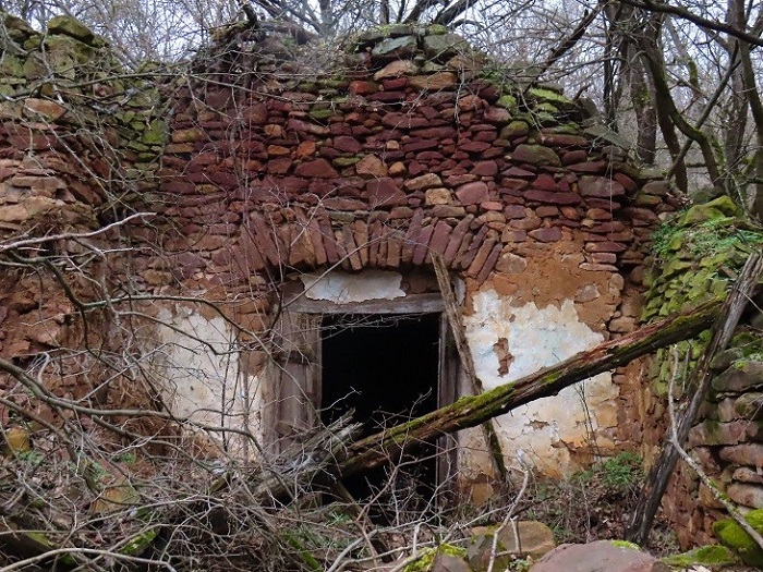 2026 02 14 fj 03 700