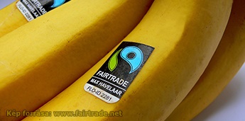2017-10-24 Fairtrade banan web