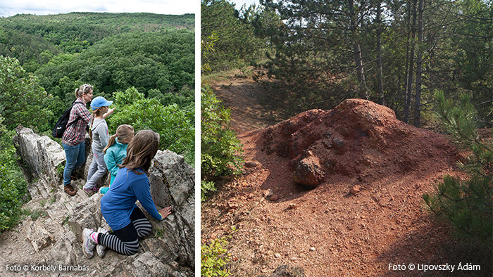 Miske festekbanya web